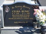 image of grave number 929647